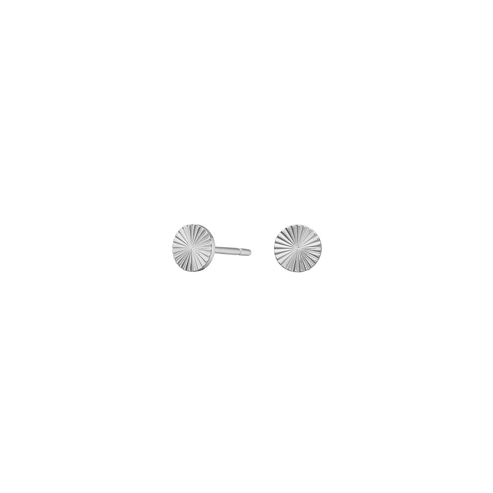 Ohrstecker Kreis |  PURE TITANI