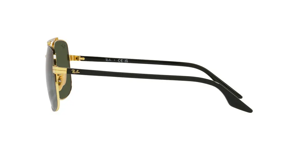 RB3699 | 9000/31