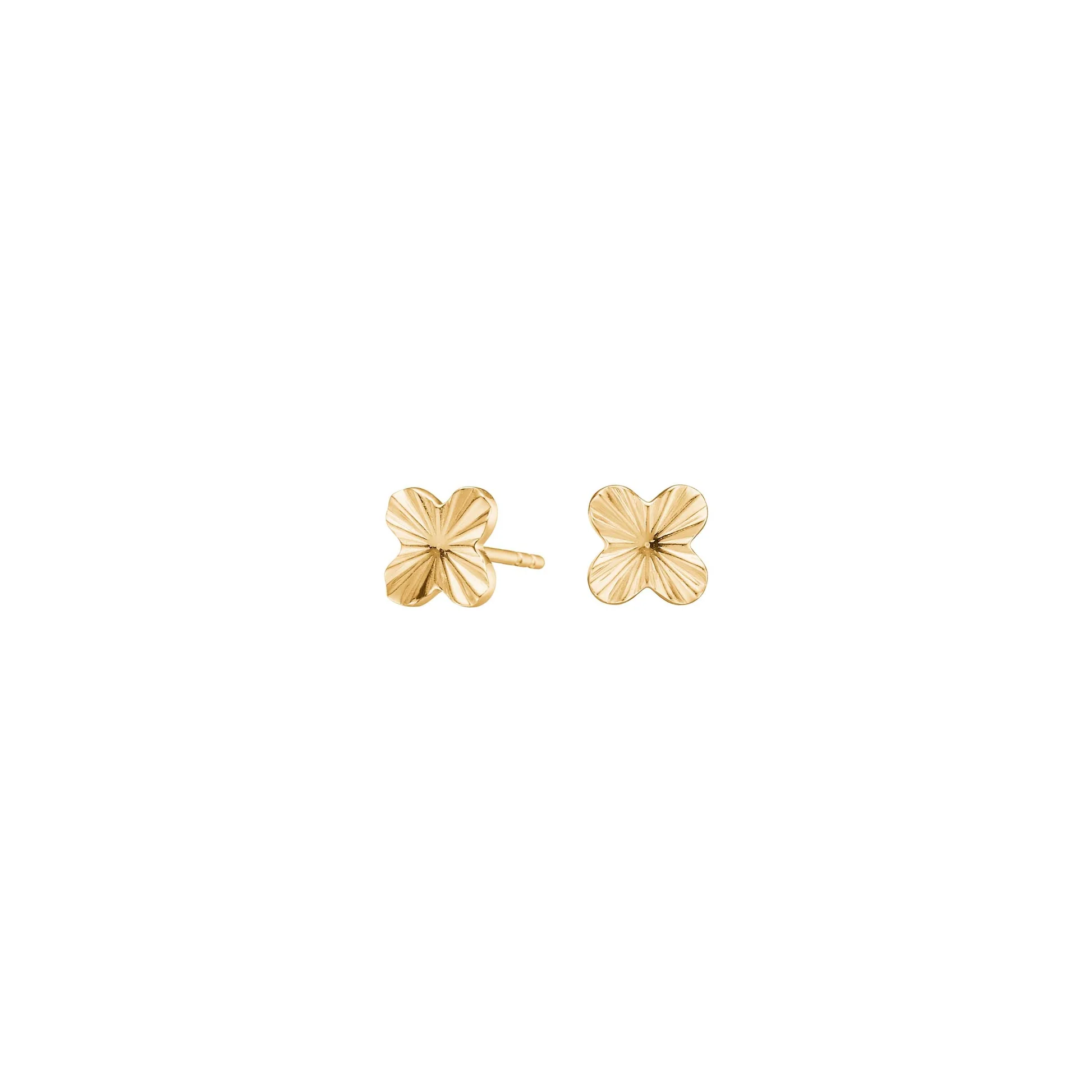 Ohrstecker | CLOVER52